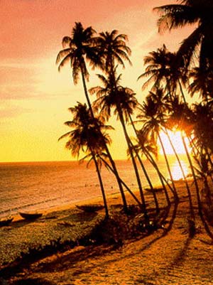 平顺省高效开发旅游潜力